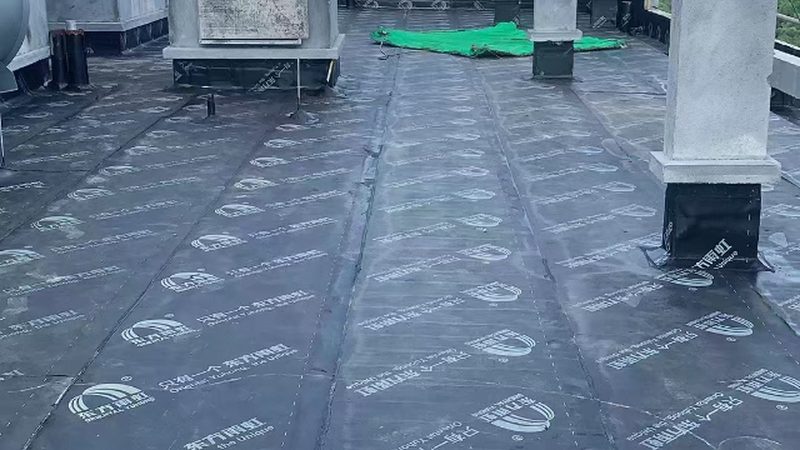 目前市场上常见的卫生间防水材料主要有以下几种：